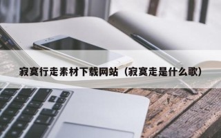 东平寂寞行走素材下载网站（寂寞走是什么歌）